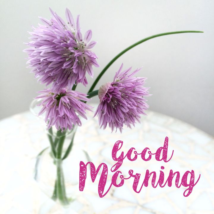 Good Morning Image with Flowers 13 Good Morning Image with Flowers