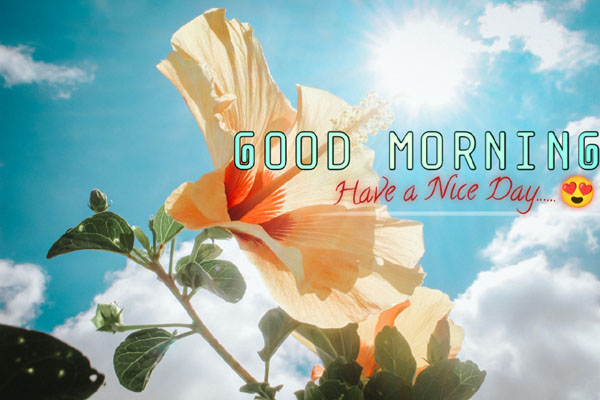 New Good Morning Images