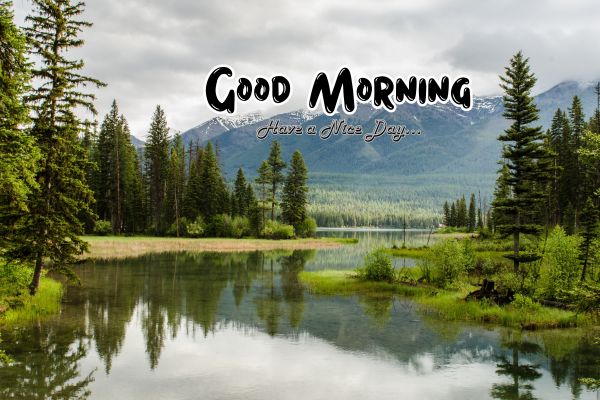 Beautiful Good Morning Nature Images