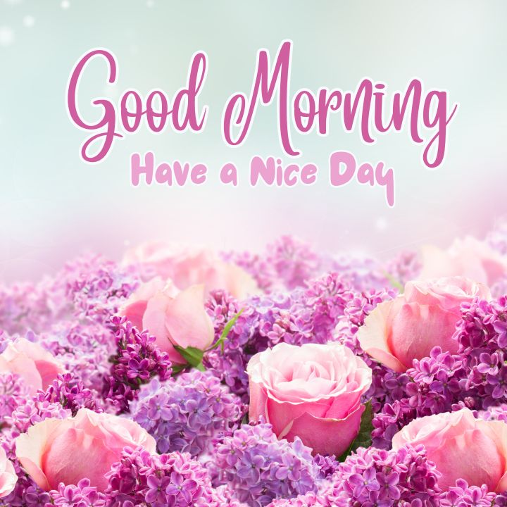 Good Morning Image with Flowers 7 Good Morning Image with Flowers