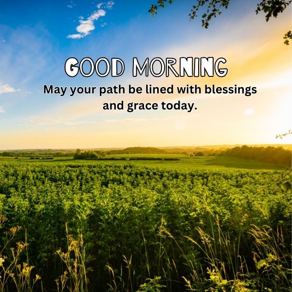 Good Morning Blessings Images 3 Good Morning Blessings Images with Quotes