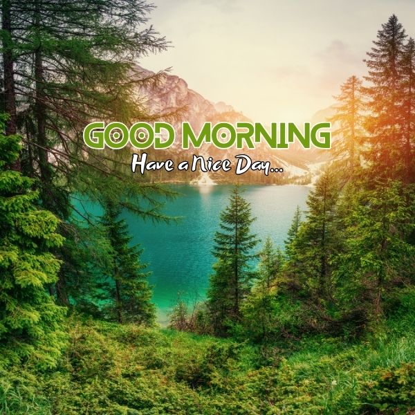 Good Morning Images of Nature 14 Beautiful Morning Images of Nature
