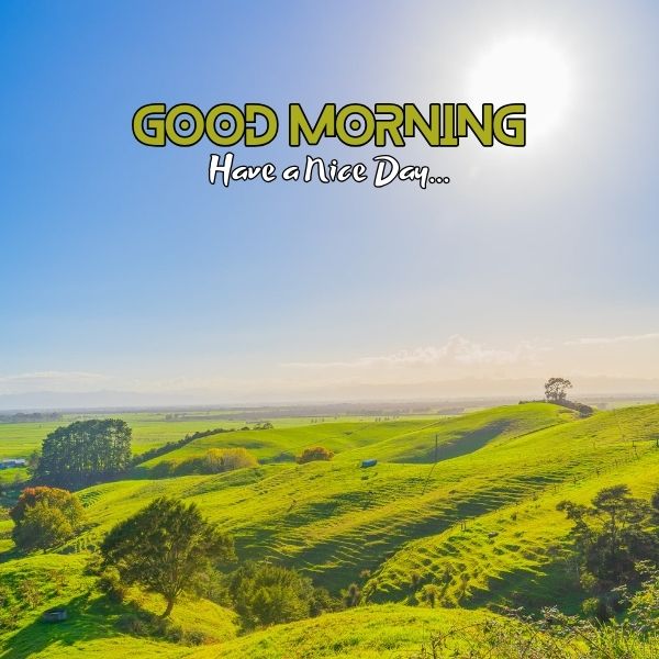 Good Morning Images of Nature 19 Beautiful Morning Images of Nature