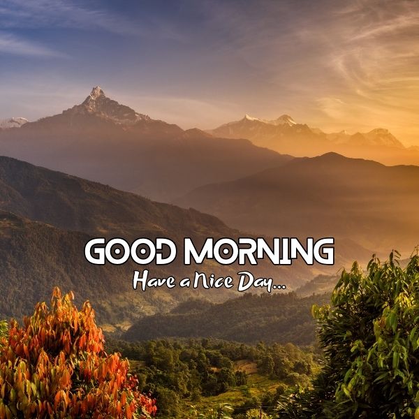 Good Morning Images of Nature 7 Beautiful Morning Images of Nature