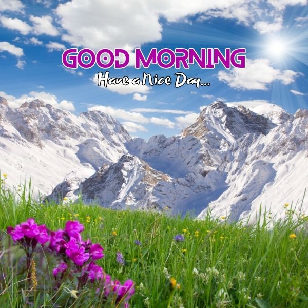 Good Morning Images of Nature 9 Beautiful Morning Images of Nature