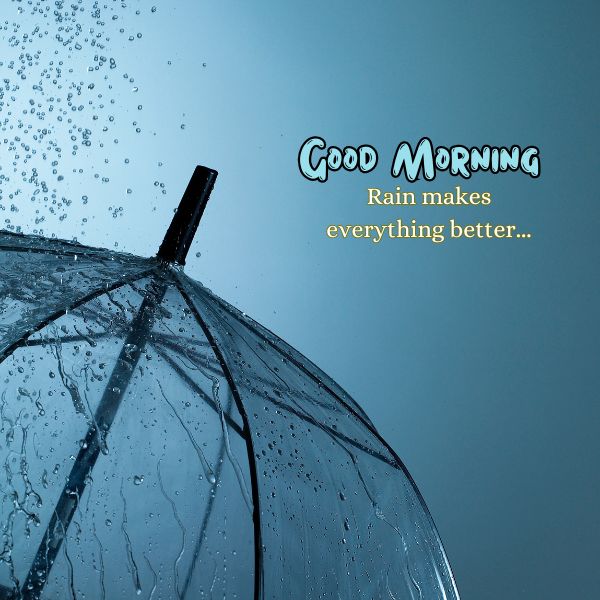 Rain Day Good Morning Images 11 Rain Day Good Morning Images