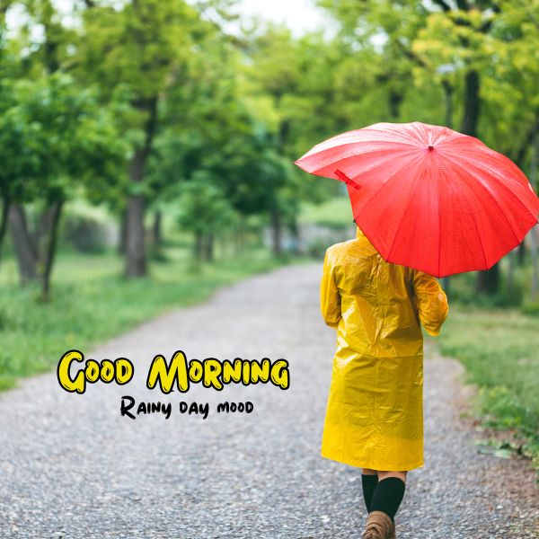 Rain Day Good Morning Images 6 Rain Day Good Morning Images